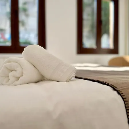 Oasis De Confort Urbano Terrace Zen