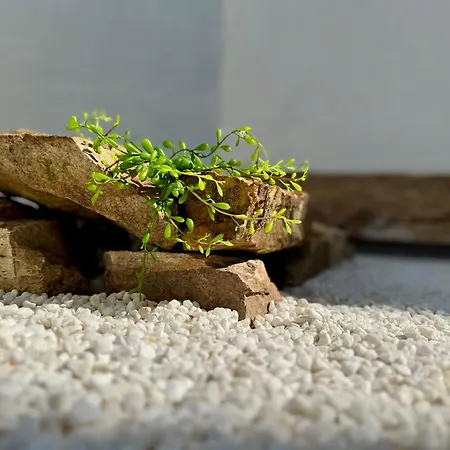 Unetti Oasis Terrace Zen
