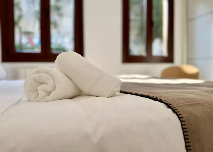 Oasis De Confort Urbano Terrace Zen