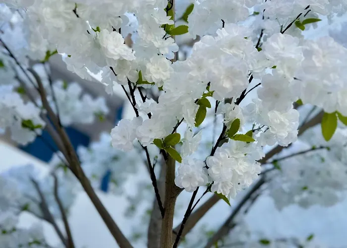 Apartmán Oasis De Confort Urbano Terrace Zen Vigo