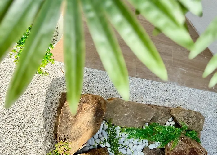 Oasis De Confort Urbano Terrace Zen