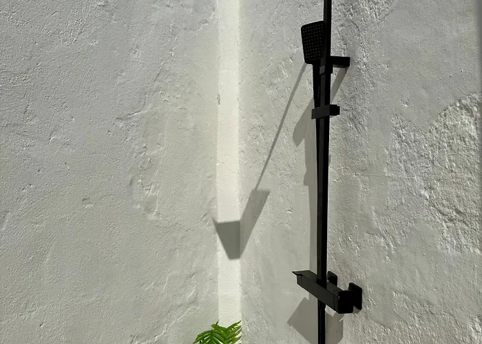 Oasis De Confort Urbano Terrace Zen