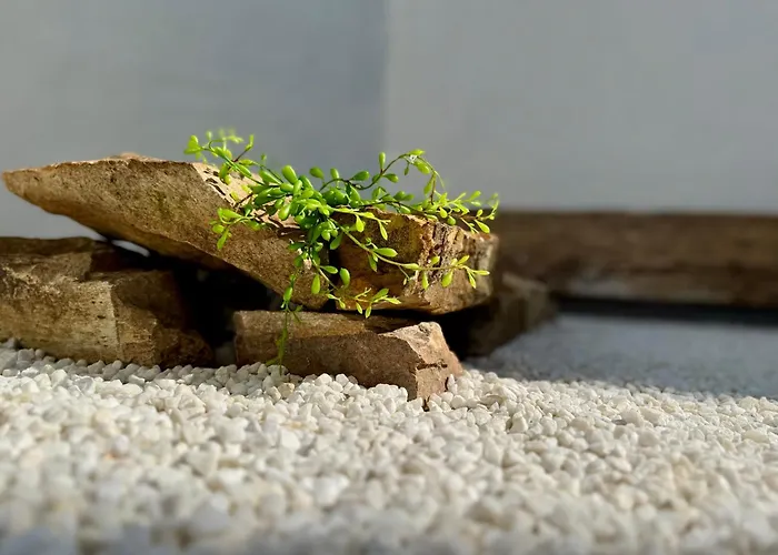 Oasis De Confort Urbano Terrace Zen