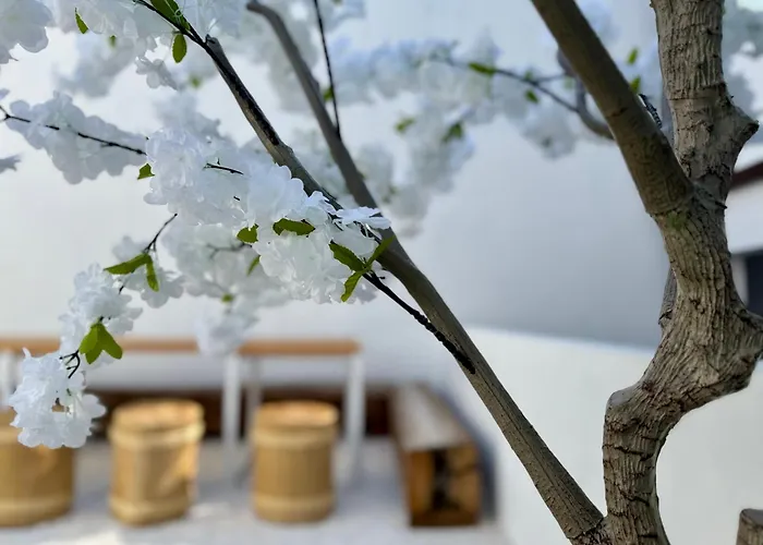 Apartmán Oasis De Confort Urbano Terrace Zen