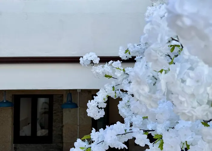 Oasis De Confort Urbano Terrace Zen Apartmán Vigo