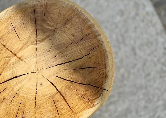 Oasis De Confort Urbano Terrace Zen