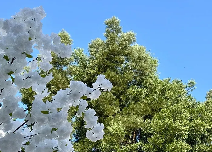 Apartmán Oasis De Confort Urbano Terrace Zen *